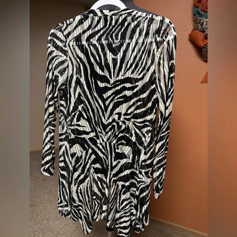 Sheer Overlay - Picture 2 of 4